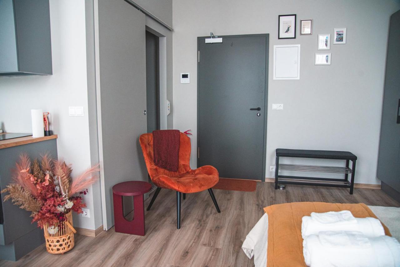 Cozy Studio By The City Centre Apartment Reykjavik Exterior photo