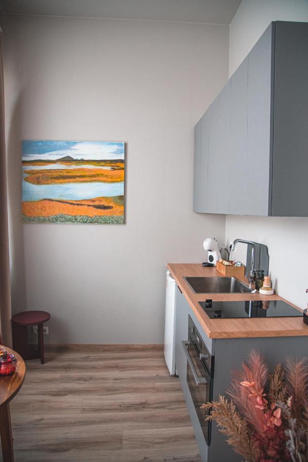 Cozy Studio By The City Centre Apartment Reykjavik Exterior photo