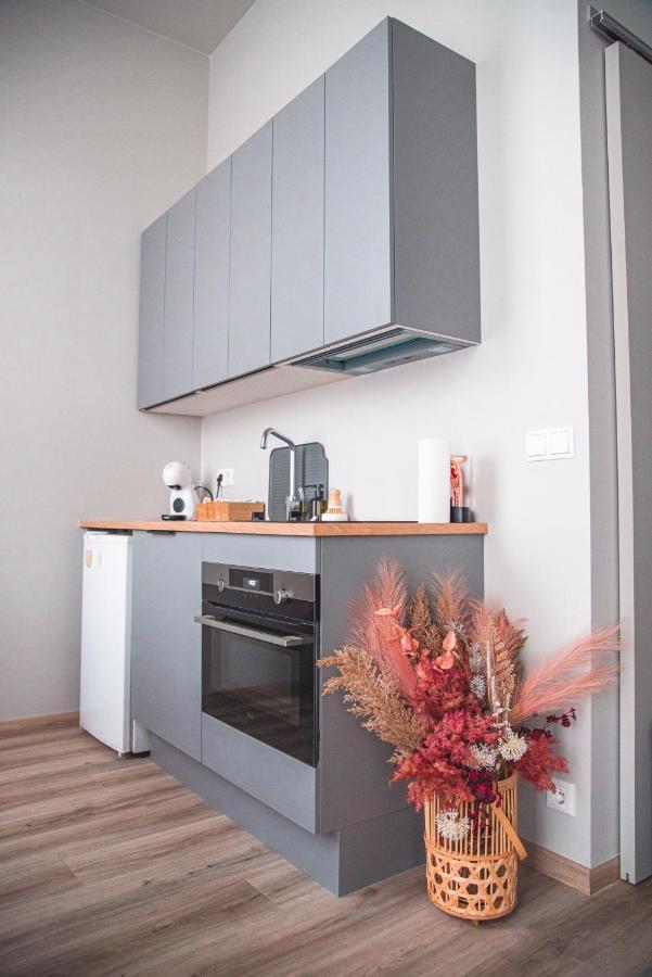 Cozy Studio By The City Centre Apartment Reykjavik Exterior photo